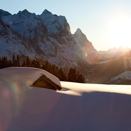 Victoria - Alpine Boutique Hotel & Fine Dining Meiringen Luaran gambar