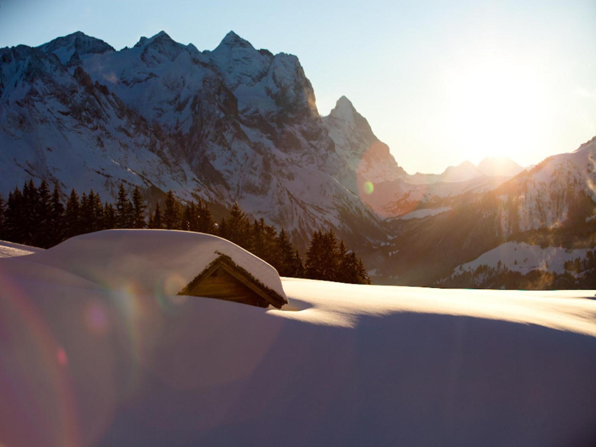 Victoria - Alpine Boutique Hotel & Fine Dining Meiringen Luaran gambar