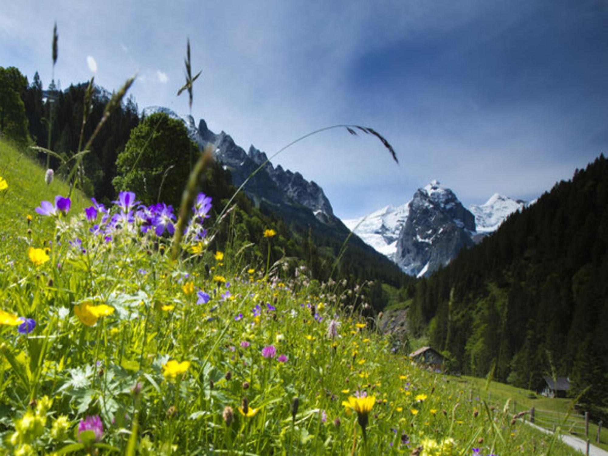 Victoria - Alpine Boutique Hotel & Fine Dining Meiringen Luaran gambar