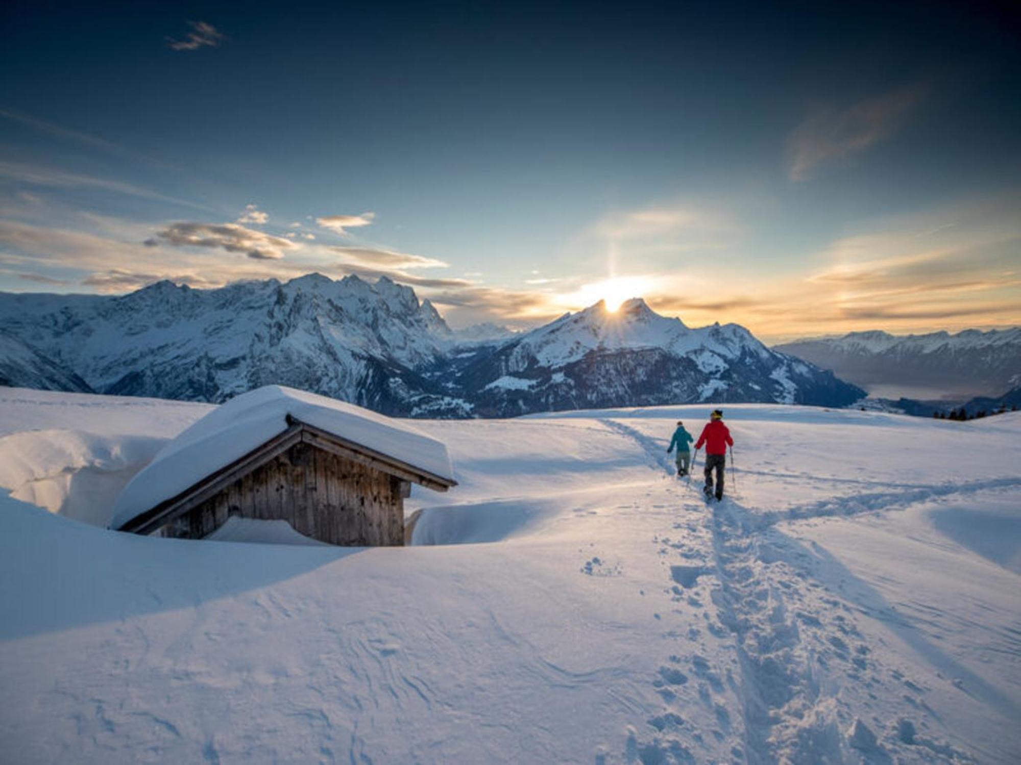 Victoria - Alpine Boutique Hotel & Fine Dining Meiringen Luaran gambar