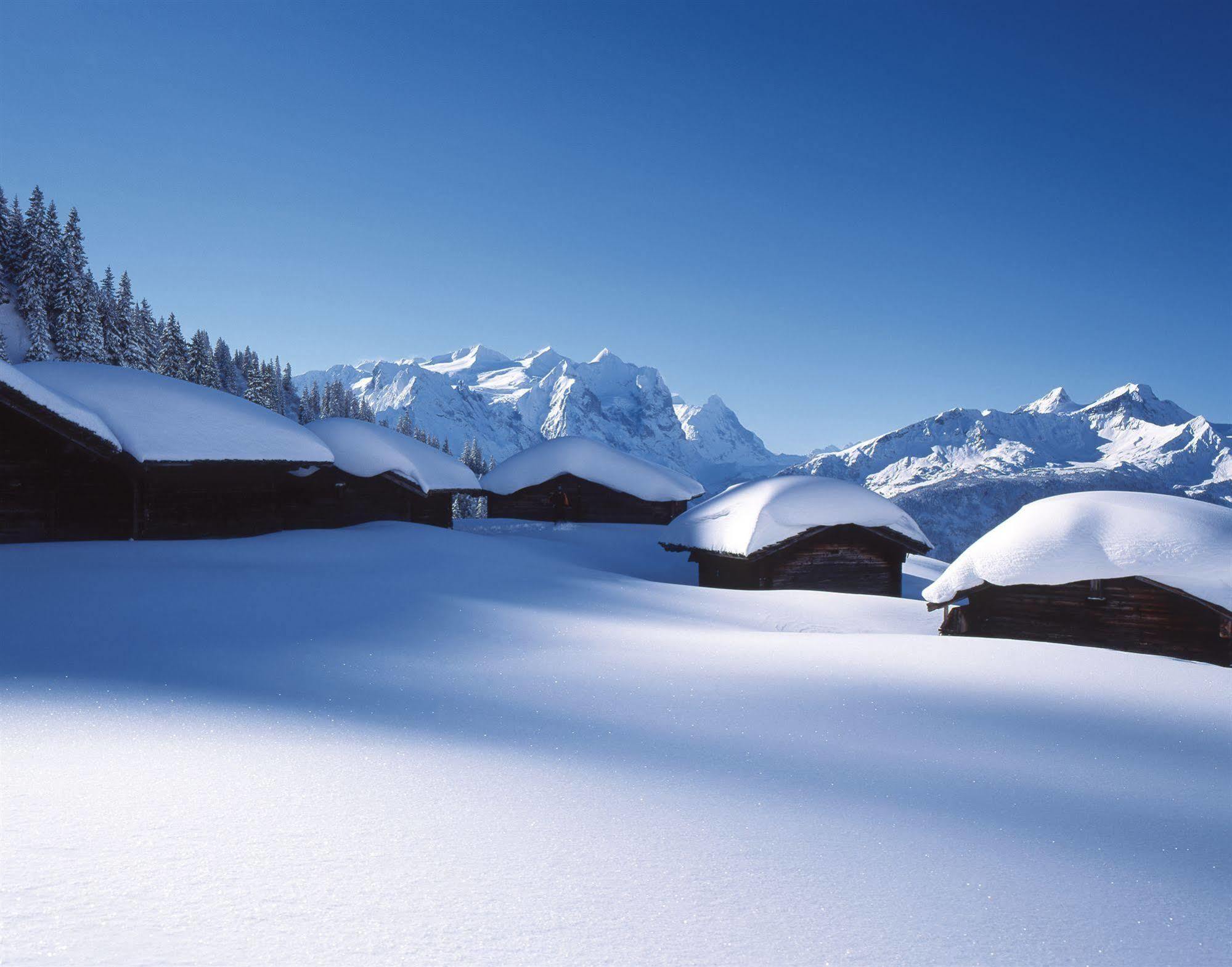 Victoria - Alpine Boutique Hotel & Fine Dining Meiringen Luaran gambar